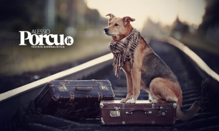 Almeno ditegli dove se ne devono andare