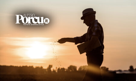 Agricoltura, roba da export