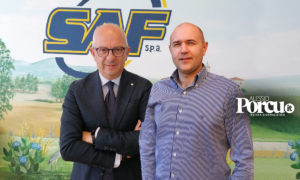 Rivoluzione Saf, Migliorelli passa in Remat e Buschini in CdA