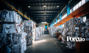 Reno de Medici, un interpello per decifrare la norma