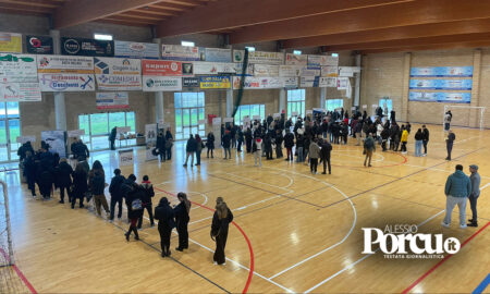 Job day, un posto di lavoro sotto… l’albero