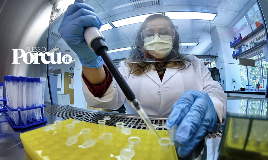 Rapporto CGIA di Mestre: Frosinone tra le province leader dell’export italiano