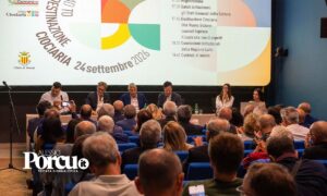La rivoluzione dei campanili: Veroli accende la sfida Destinazione Ciociaria